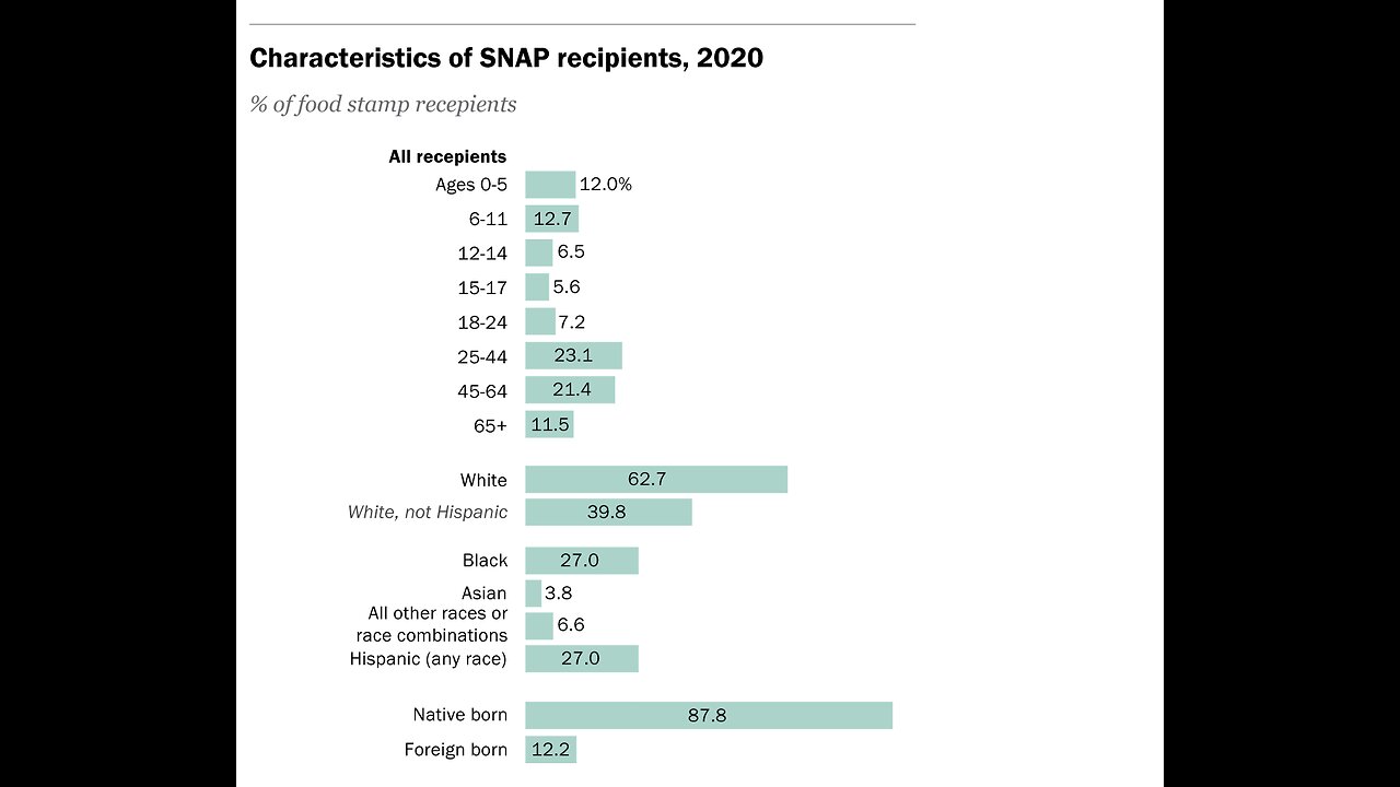 Will America Snap? EBT Card Going Silent on November 1? | Life in the Alien Nation