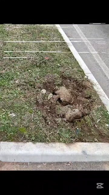 che succede a Magenta?