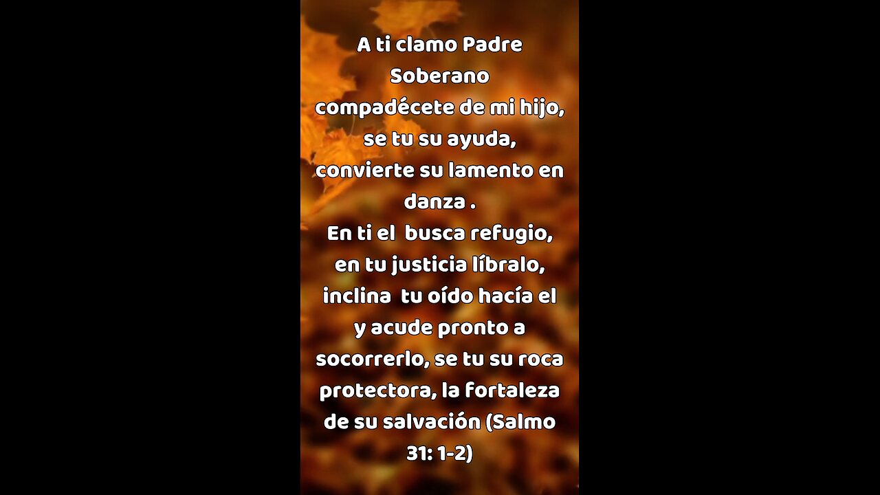 Oración diaria por nuestros hijos 🙏