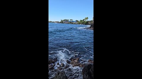 Kona shoreline 🌴😍