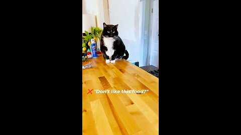 Canada Salmon & Turkey Recipe Air-Dried Food For Cats