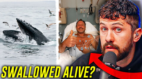 Man Gets Swallowed Alive By Whale And Lives to Tell The Story