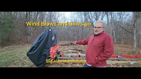 Wind Blows and Saws Go