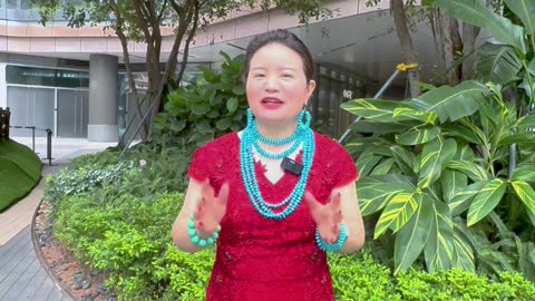20251012-06 Turquoise from Live Streams Why Experts Laugh