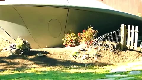 A lonely old man adopts an alien 👴👽💫 #shorts #movieclips