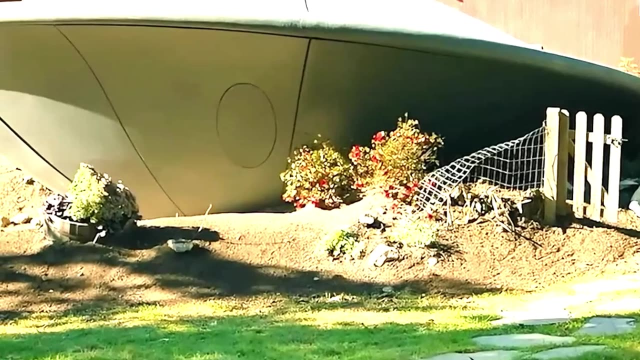 A lonely old man adopts an alien 👴👽💫 #shorts #movieclips