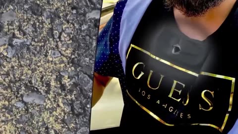 They’re here illegally. They can’t read English. They don’t understand our laws.