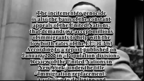 The Kalergi Plan a Dennis Wise production