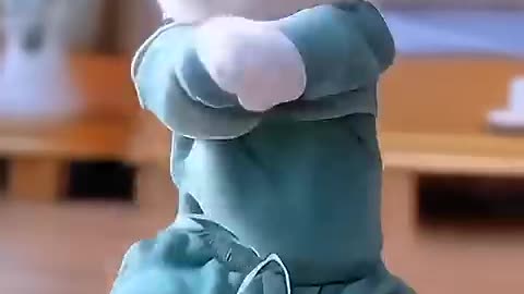 Cat dance vodeo!patlikameriya mori hai hai!#shorts #viral#song😴