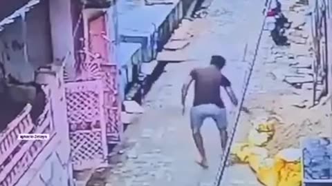 😂🐒 You Won't Believe How This Monkey Got Scared! | FunFM