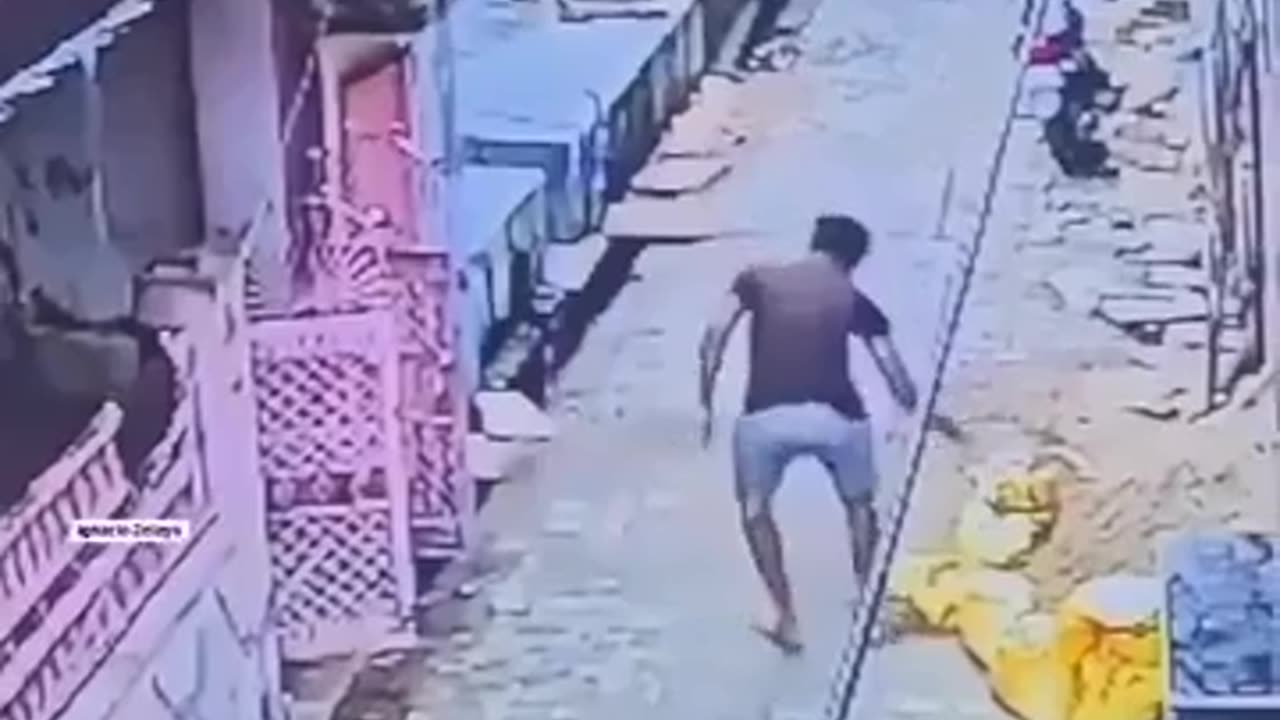 😂🐒 You Won't Believe How This Monkey Got Scared! | FunFM