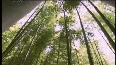 Japan NHK September 14, 2001 500pm-530pm JST