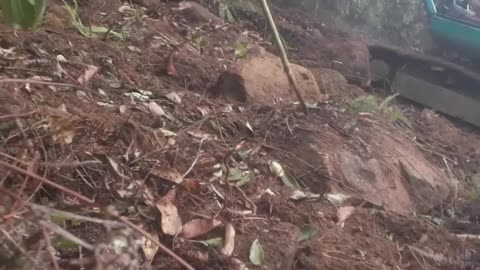 Insane Skill! Watch This 365C Excavator Work a Steep Forest Mountain Like It’s Nothing!