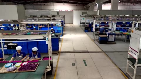 Britain's China deals show limits of pivot in countering Trump