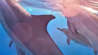 The path forward is one of consciousness.