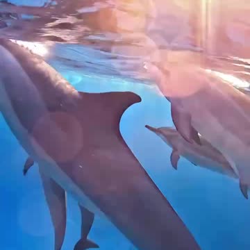 The path forward is one of consciousness.