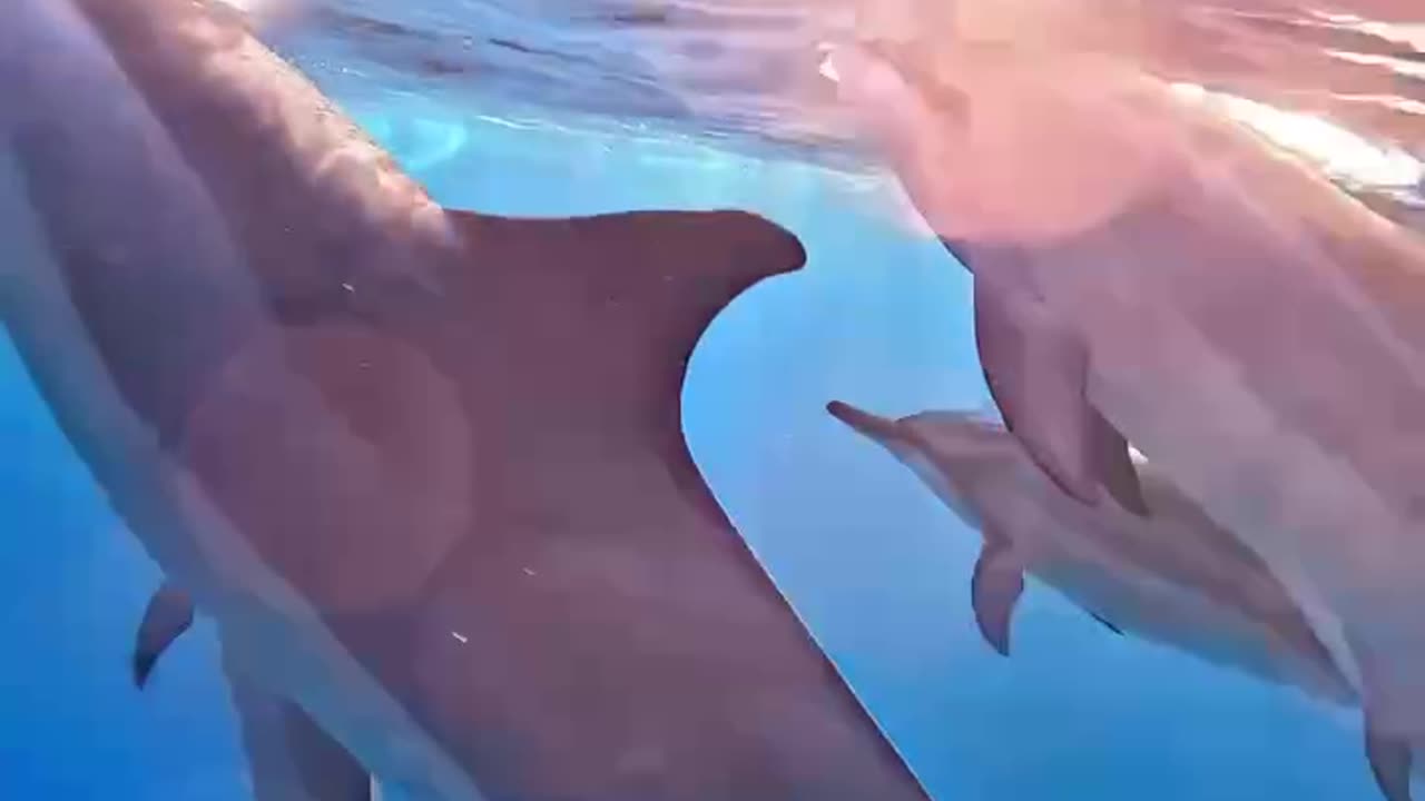 The path forward is one of consciousness.