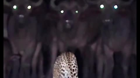 Snatching Yo People Up