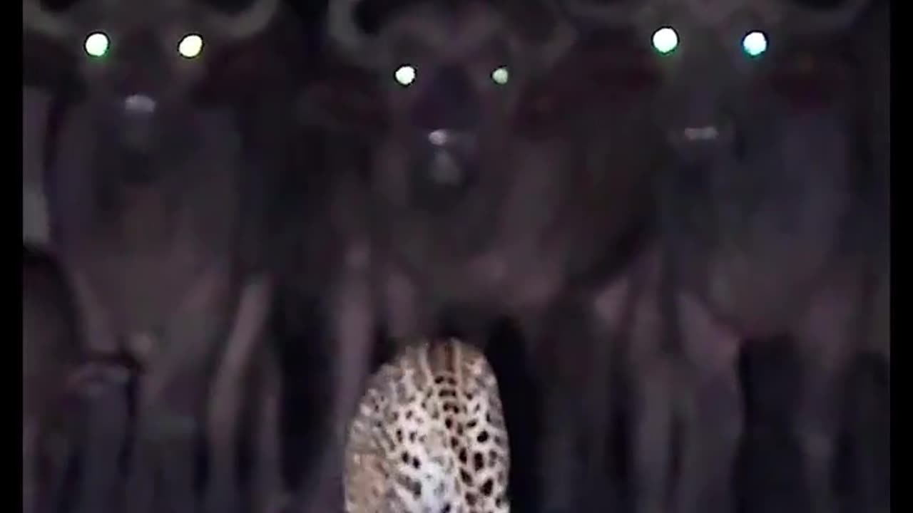 Snatching Yo People Up