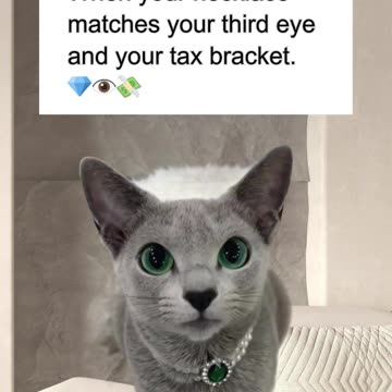 When your necklace matches your third eye AND your tax bracket #crystalcollector #crystaljewellery