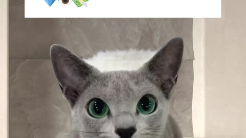 When your necklace matches your third eye AND your tax bracket #crystalcollector #crystaljewellery