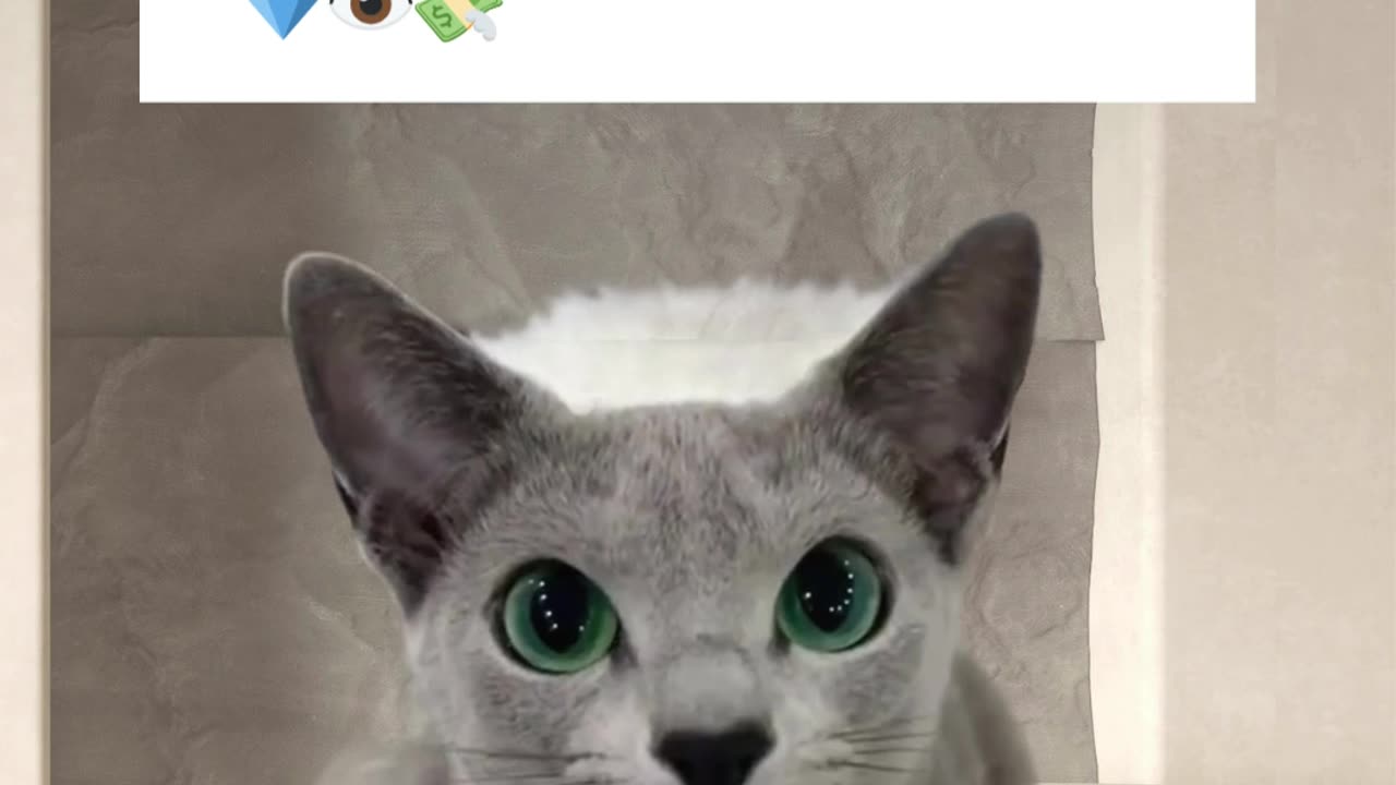 When your necklace matches your third eye AND your tax bracket #crystalcollector #crystaljewellery