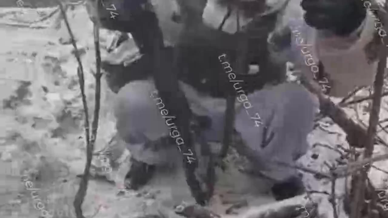 War in ukraine