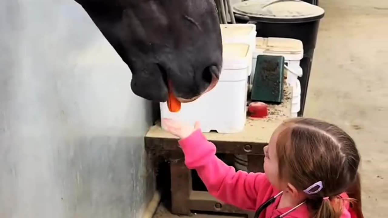 Cute little girl giving his horses carrot as a treat