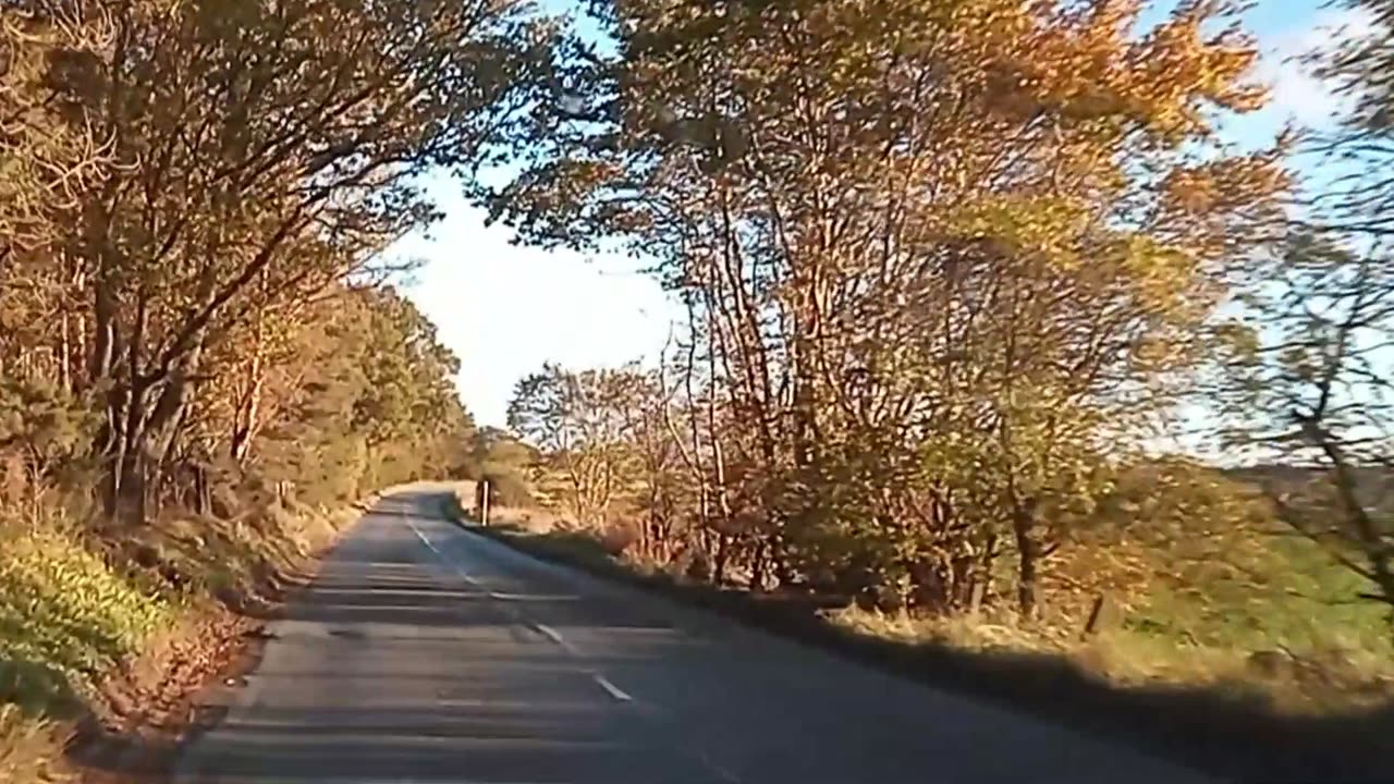 A Relaxing Drive....To The Dump!🌳