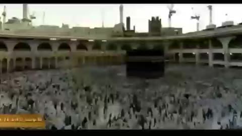 Wake-up to the Deceit