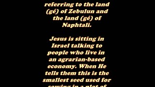 Matthew 13:31 - Daily Bible Verse Commentary