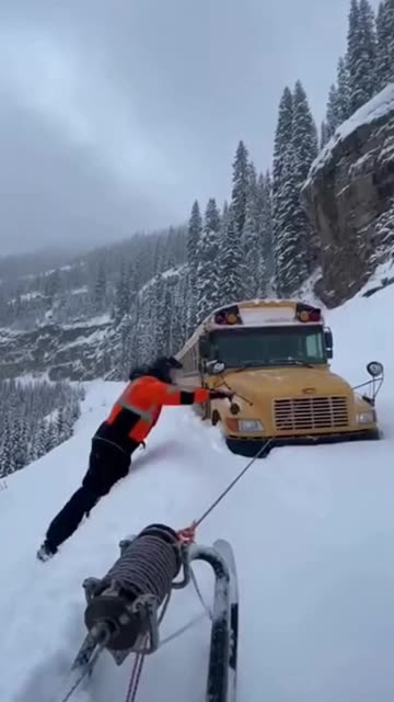 This Husky REFUSED to Move... Then I Saw Why 😱🐺