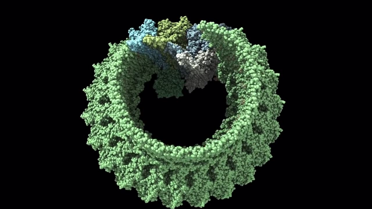 🧠🔠The Most Fascinating Protein Complex! | FeedMyCuriosity