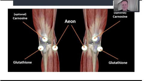 Lifewave Help with cartilage - X39Patch.org---rebuild your joints?