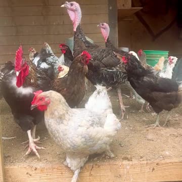 Come out and Play!!!