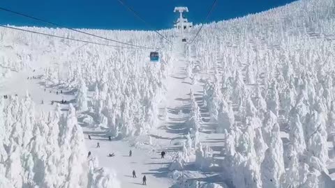 Snow Monsters in Yamagata, Japan.