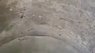 Russian Life Is Different