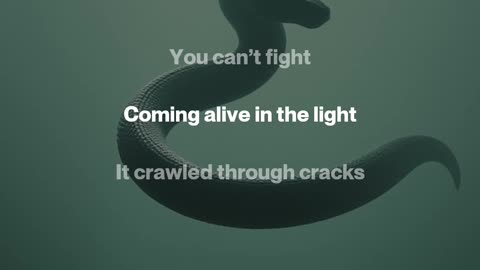 Little Lie in the Light