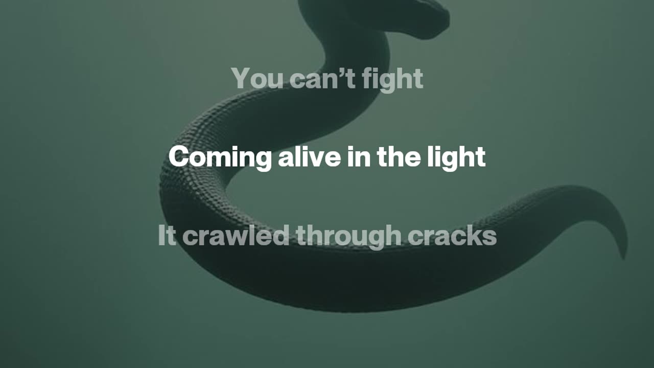 Little Lie in the Light
