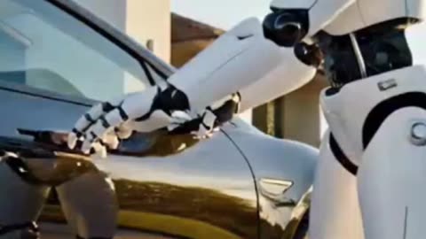 Tesla Optimus driving Tesla Car