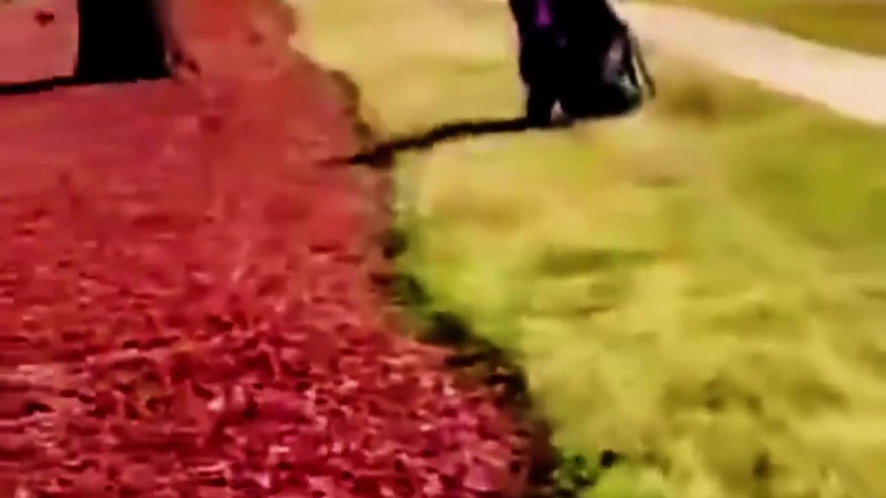 Journalist @nickshirleyy was chased down by a violent anti-ICE mob at the ICE facility