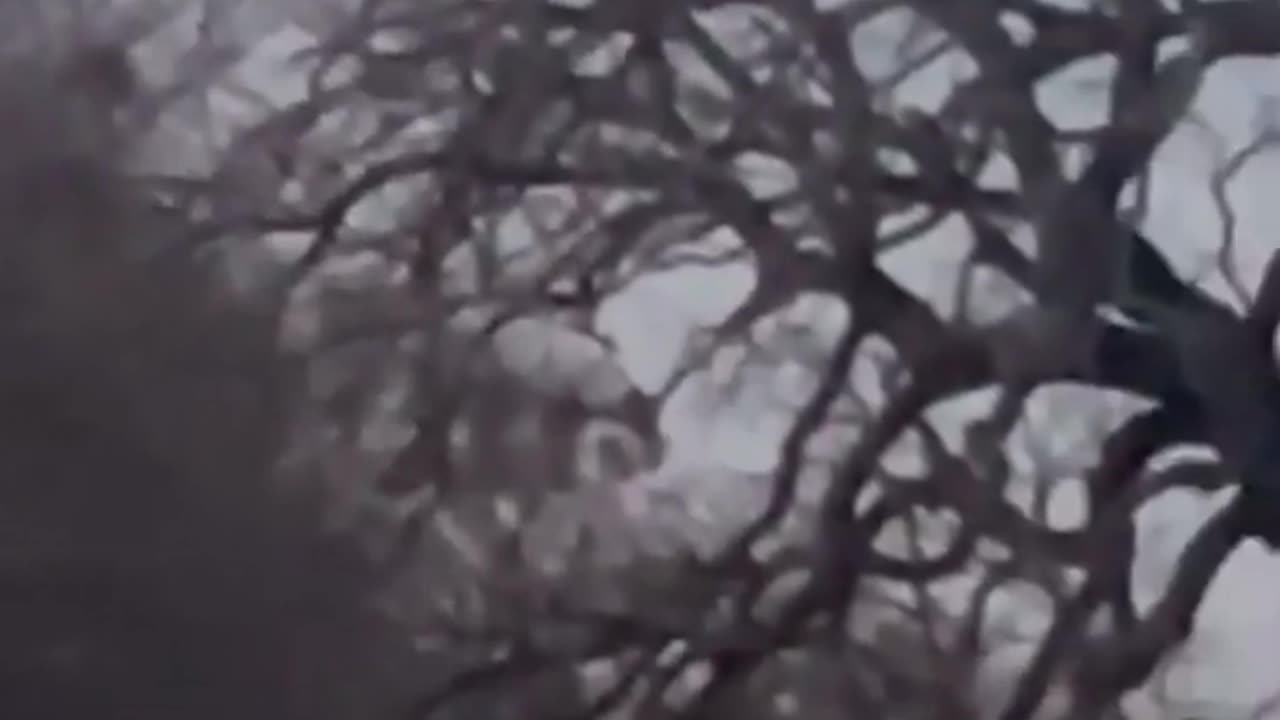🛸😱 Mysterious Luminous UFO Orb Captured in Backyard! | TheTruthAbove