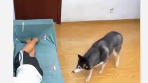 Who does like this?😂😆🤣