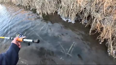 Stuck in the Mud: A Fishing Disaster! #shorts