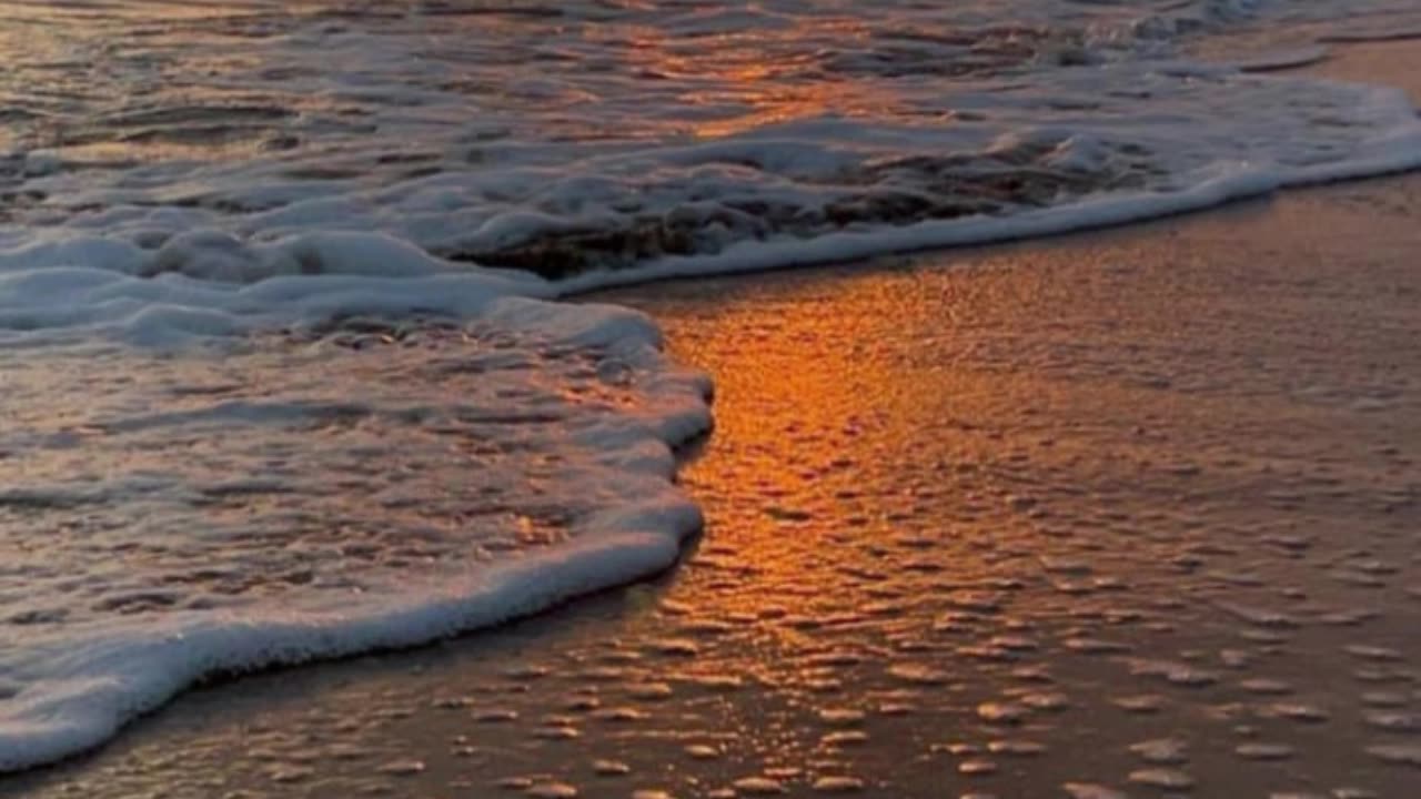 Rise of the People V2