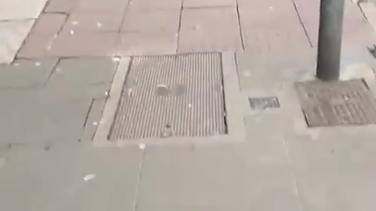 Dublin Another bus load of illegal male migrants bundled into a hotel atbthe
