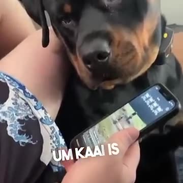 This dog got in trouble at his school 😂 - Dylan Anderson