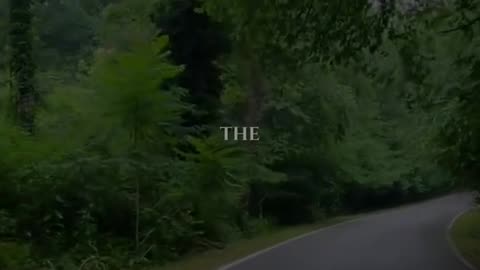 🙏✨ Thursday Prayer | Embrace God's Guidance This Week | InGodWeTrustDaily