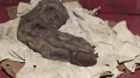 38 CM GIANT FINGER FOUND IN 1988