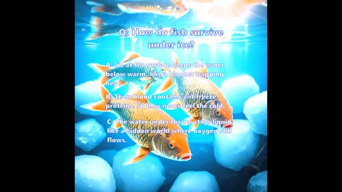 How do fish survive under ice